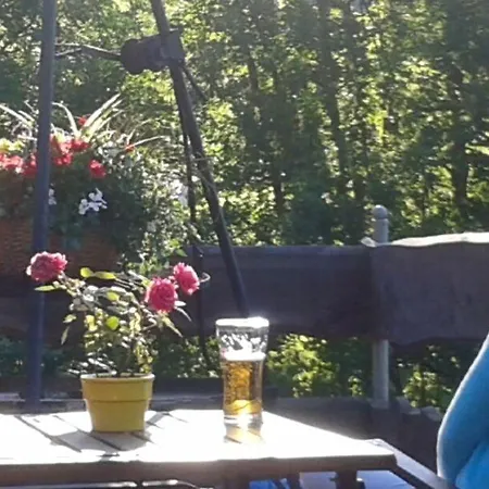 Harmont Montis- Dawna Zajacowka- Idealna Lokalizacja - Lesna Enklawa W Centrum Miasta! Sauna, Masaze, Zabiegi Spa! 住宿加早餐酒店 斯克拉斯卡波伦巴