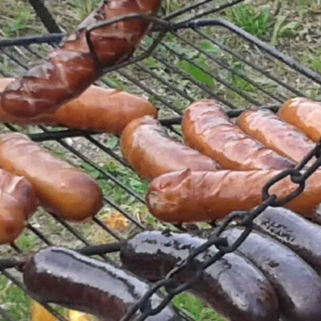 Harmont Montis- Dawna Zajacowka- Idealna Lokalizacja - Lesna Enklawa W Centrum Miasta! Sauna, Masaze, Zabiegi Spa! 住宿加早餐酒店