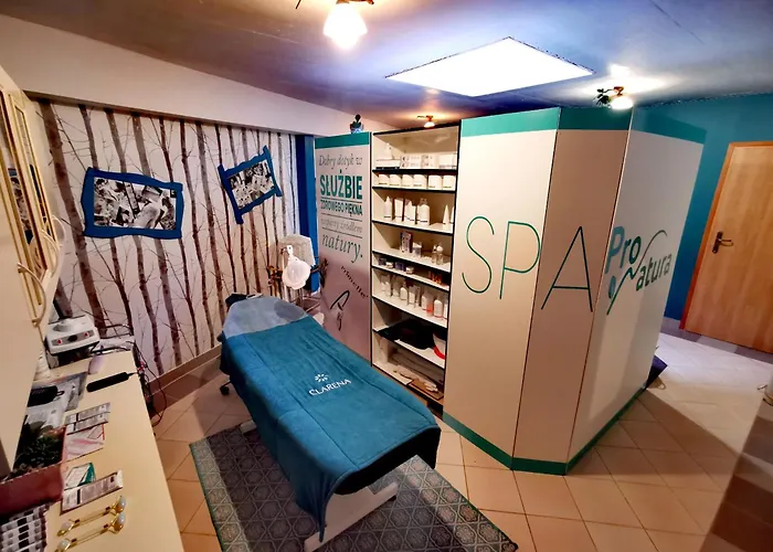 Harmont Montis- Dawna Zajacowka- Idealna Lokalizacja - Lesna Enklawa W Centrum Miasta! Sauna, Masaze, Zabiegi Spa! Panzió