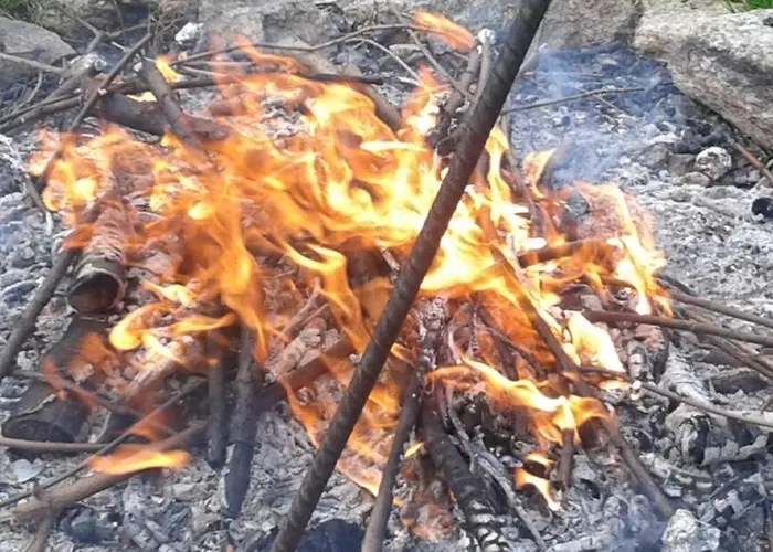 Harmont Montis- Dawna Zajacowka- Idealna Lokalizacja - Lesna Enklawa W Centrum Miasta! Sauna, Masaze, Zabiegi Spa! 3* Szklarska Poręba