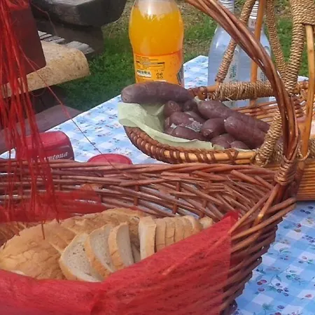 Frühstückspension Harmont Montis- Dawna Zajacowka- Idealna Lokalizacja - Lesna Enklawa W Centrum Miasta! Sauna, Masaze, Zabiegi Spa!