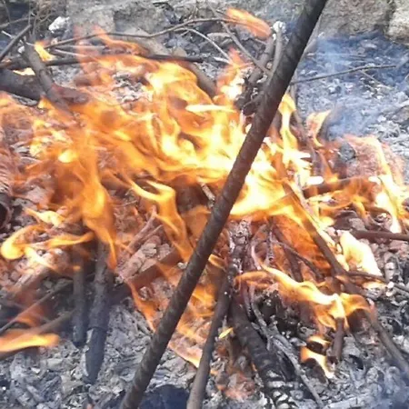 Harmont Montis- Dawna Zajacowka- Idealna Lokalizacja - Lesna Enklawa W Centrum Miasta! Sauna, Masaze, Zabiegi Spa! 3* Schreiberhau