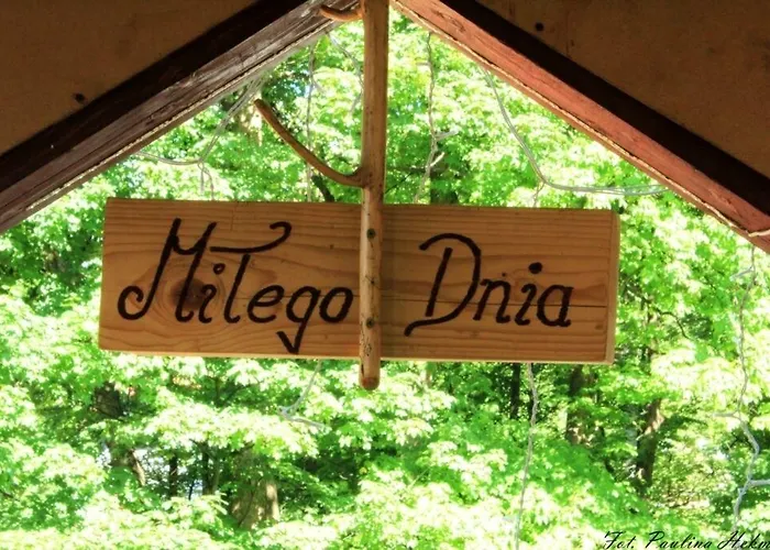 Harmont Montis- Dawna Zajacowka- Idealna Lokalizacja - Lesna Enklawa W Centrum Miasta! Sauna, Masaze, Zabiegi Spa! Schreiberhau